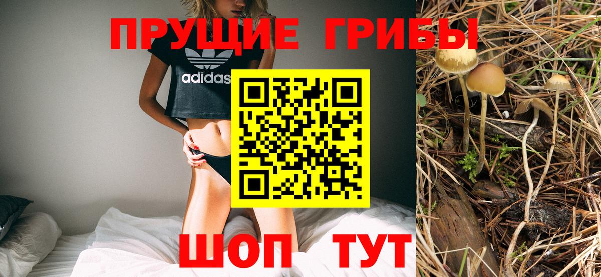 Псилоцибиновые грибы GOLDEN TEACHER Чебоксары
