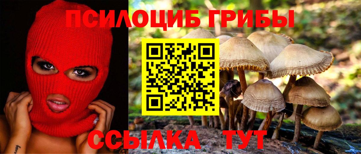 Чебоксары  Галлюциногенные грибы прущие грибы  Вход с VPN 
